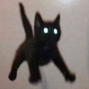 Spynych