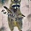 AVL THE RACOON#197