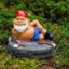 Sexy Gnome
