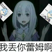 Emilia q(=•ω＜=)ρ⌒☆