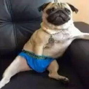 GUI BALA TENSA avatar
