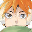 Shoyo