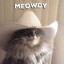 Meowdy Partner