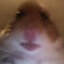 Iggy_is_Unwise