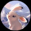 Conejo de las nieves de Albion