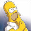 hOMER JAY SIMPSON