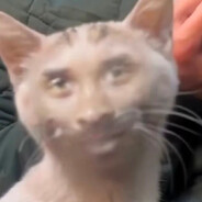 绝凶の猛虎纯真丁一郎