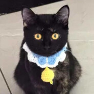 只有我才懂得你珍贵