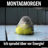 Azmodan - steam id 76561197961754082