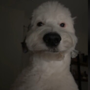 yousaucy's Avatar