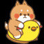 Shibe