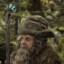 Radagast der Braune