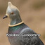 Kolobiro Condomiro