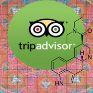 Trip Advisor