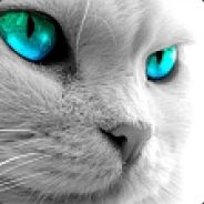J_