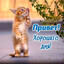 наркотики