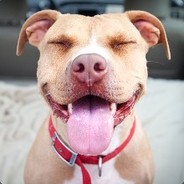 宝宝嘟嘟打雷了