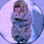 SuperMonkey