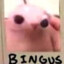 Bingus