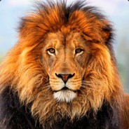 dsk - steam id 76561197963074491