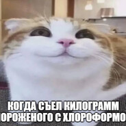 Rafaelka13579