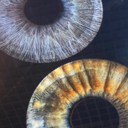 [ R2D2] • ♡солнышко