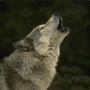 ALI     k     H avatar