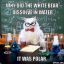 Chemistry Cat