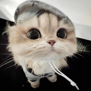 不会有人急了吧