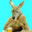 KANGURU