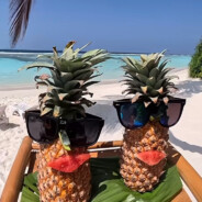 把你的豹皮菠萝