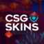 CSGOSKINS SAPÃO