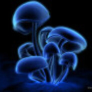 _-=*|A|M|F|I|K|*=-_(Sigma Squad)