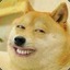 wdnmd