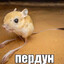 tensayyy