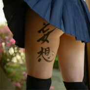 纵横乐土电电龙