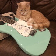 Cameron The Cat