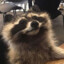 Socke