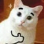 ledji