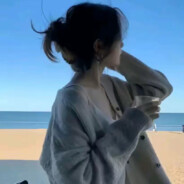 此情可待成追忆