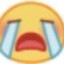 鱼