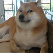 KfcDoge avatar