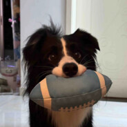 在大润发洗了十年盘子