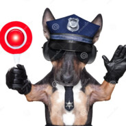 BP2022.ccТренер