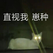 Ride on the cheater's head