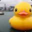 BigDuck