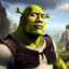 Shrek The Rock-chan