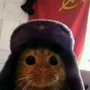 Gato Sovietico Советски