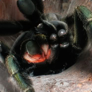 all you need is PADDY <3