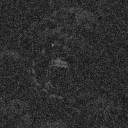 steagull avatar
